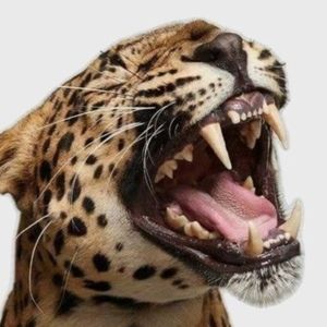 Meet your Posher, Avery